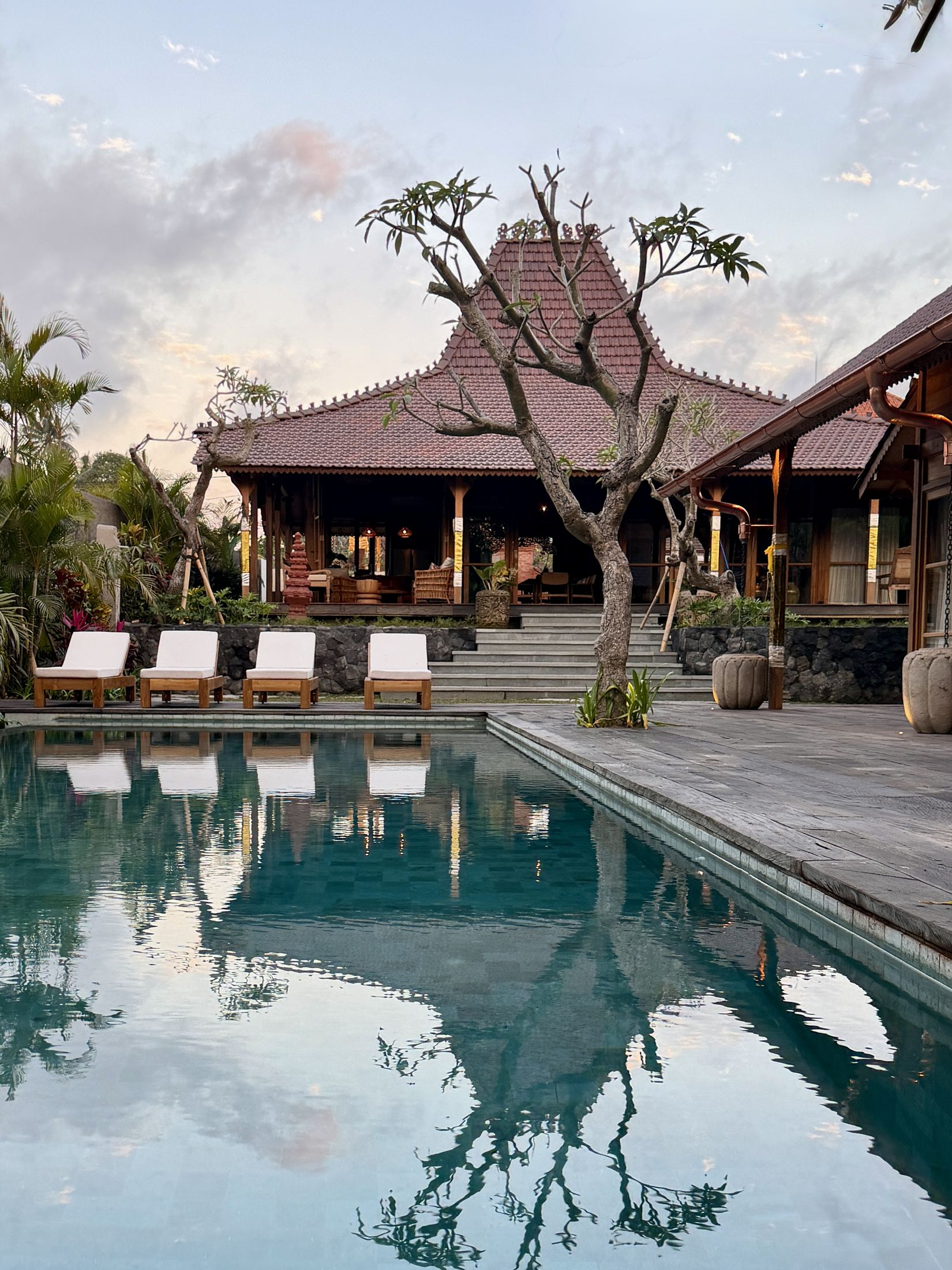 The villa and pool at dusk, frangipani tree in the foreground
